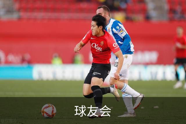 球友会公司简介